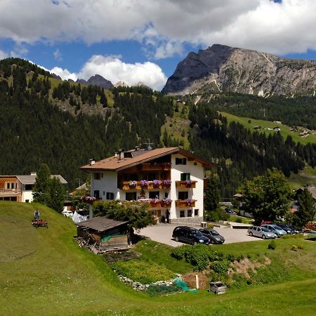 Villa Insam Apartment Selva di Val Gardena Ngoại thất bức ảnh